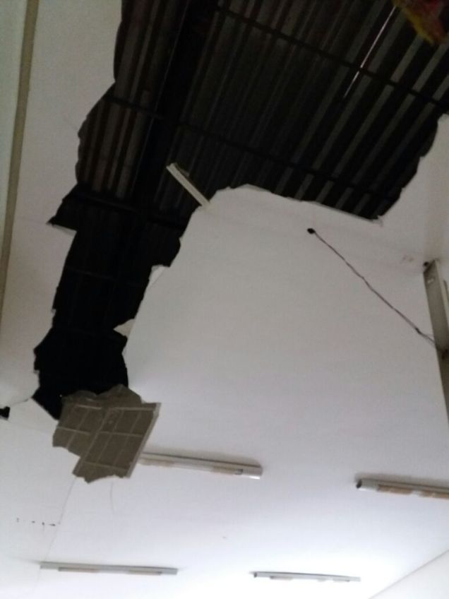 WhatsApp Image 2017-12-18 at 09.23.18